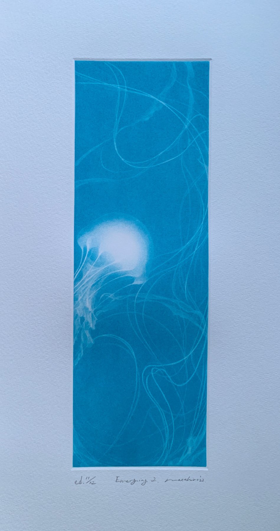 'Emerging 2' - Edición 11/12 - 2022 - Riko Maeshiro 真栄城理子 (b 1992) - Japón