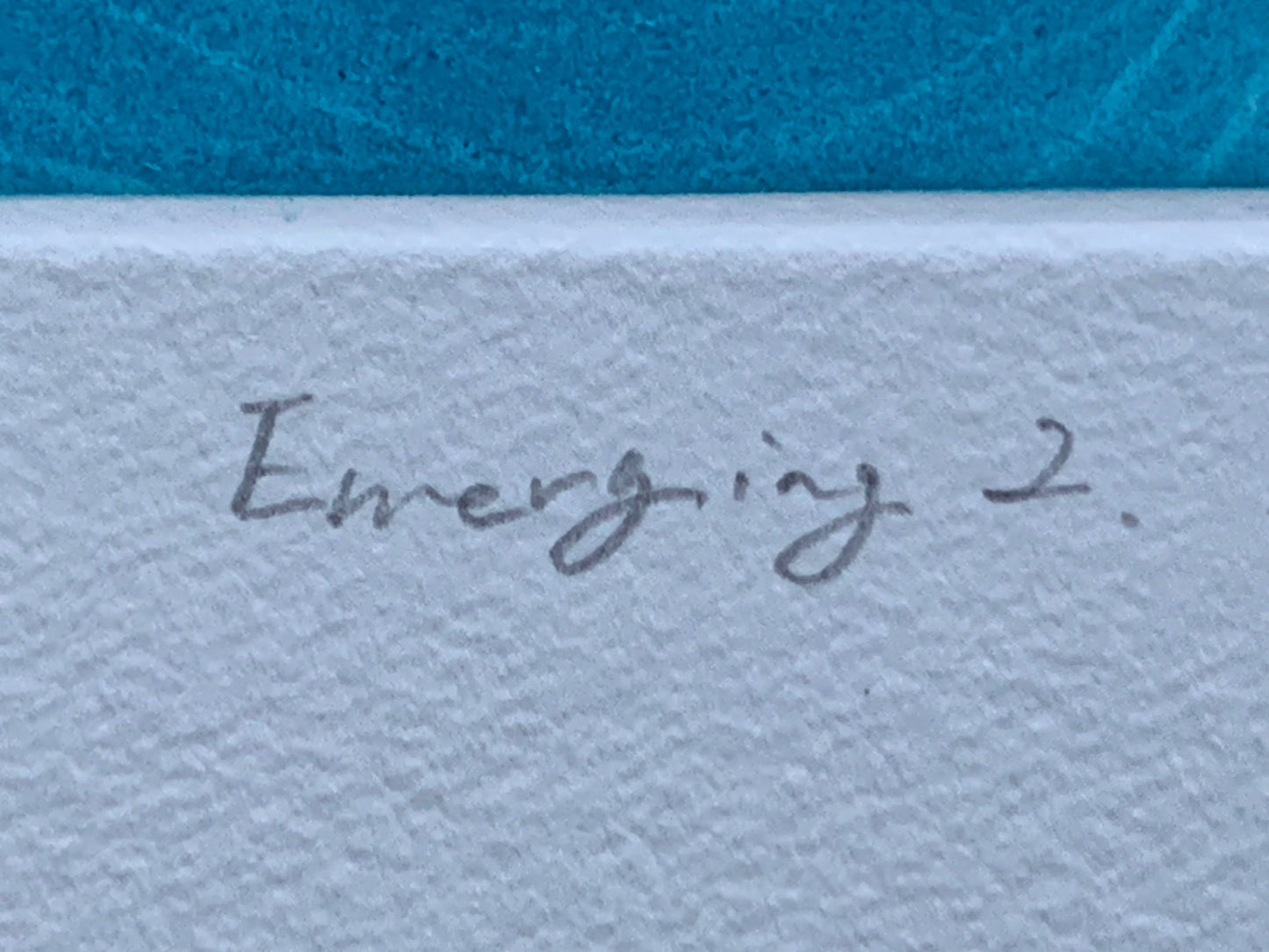 'Emerging 2' - Edición 11/12 - 2022 - Riko Maeshiro 真栄城理子 (b 1992) - Japón